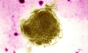 A measles outbreak in West Texas has expanded to 48 cases.